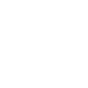 bricks-icon