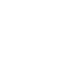 shield-icon